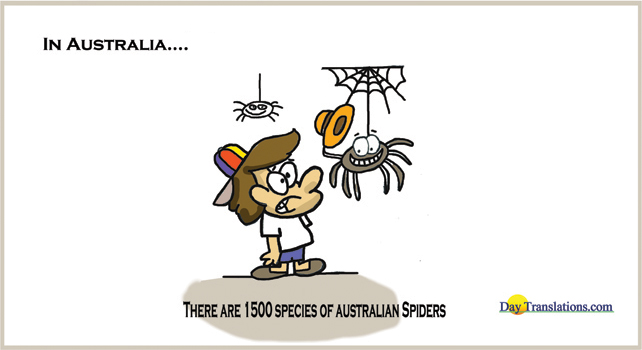 There are 1500 species of Australian spiders - Day News Cartoon Of TheDay