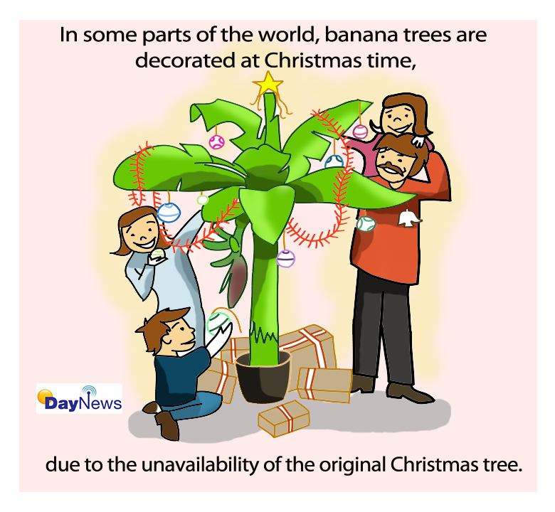 Banana tree - Day News Cartoon Of The Day