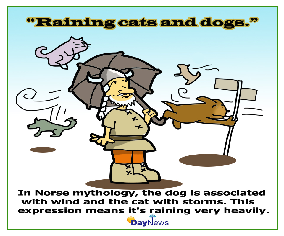 Raining960x800pxDayNews - Cartoon of the Day