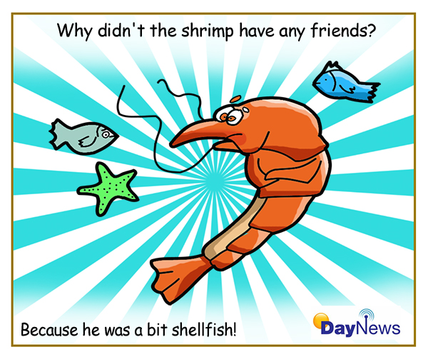 Shrimp-DayNews