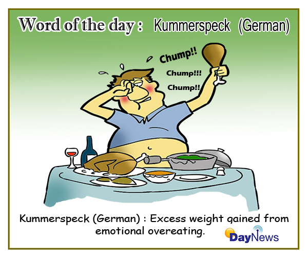 Word of the day: Kummerspeck(German)