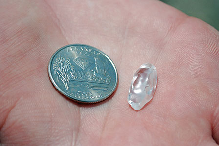Visitor Finds 8.52 Carat Diamond