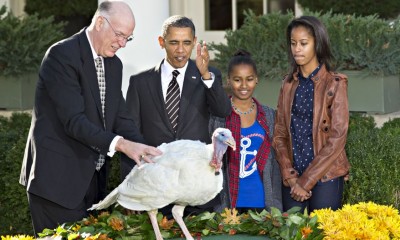 DayNews-obama-turkey-pardon_thanksgiving