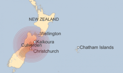 newzealand quake