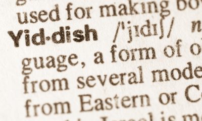 The Yiddish Language